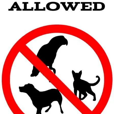 Apartman - Wybrzeze *